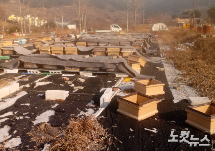 ���� ���� �� ��� ���� ���� �ӿ� �ܹ����� ��� ����� �� ������ ������ ���׷��� ���� �ִ�. ������ ����