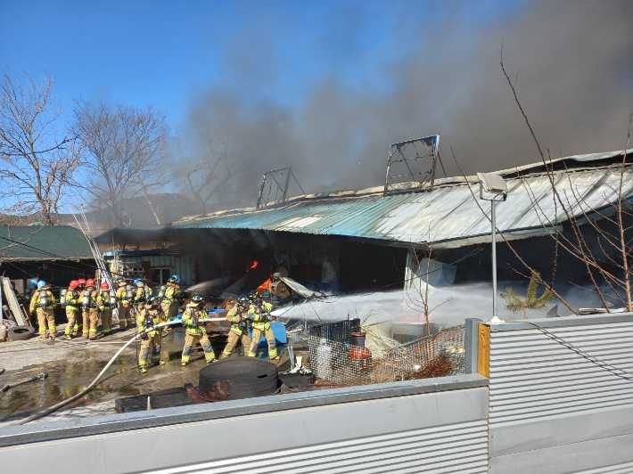 대구소방안전본부 제공