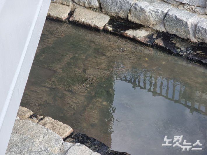 복원 사업이 진행된 부산 동구 초량천. 송호재 기자