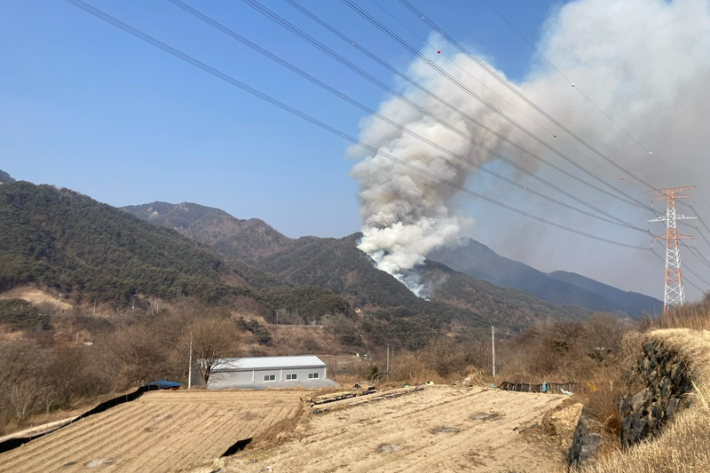 산림청 제공