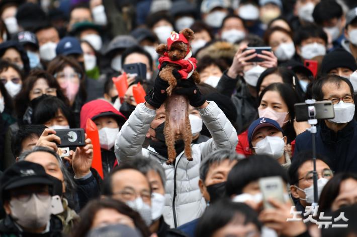 윤석열 후보 유세, 2번 모자 쓴 강아지