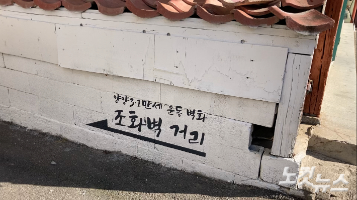 양양초등학교 부근 조성돼 있는 조화벽 거리. 최진성 아나운서