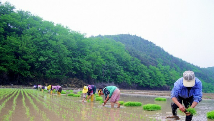 스마트이미지 제공