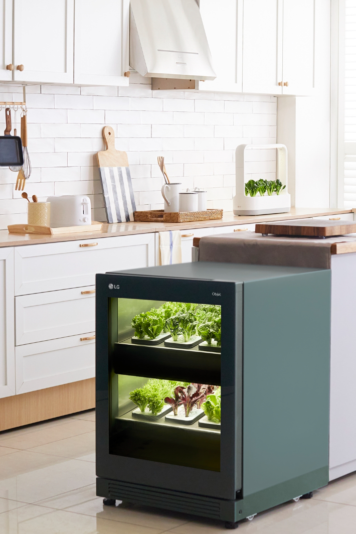 LG전자의 식물생활가전 신제품  '틔운 미니'. LG전자 제공