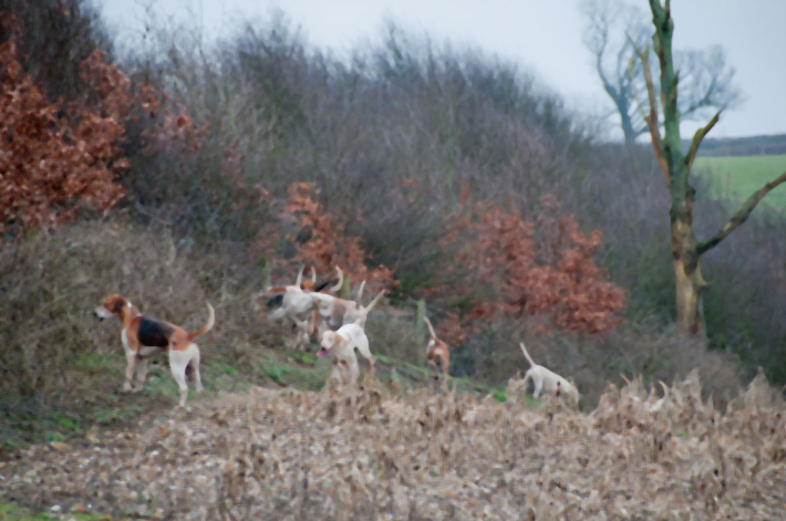 스마트이미지 제공