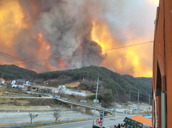 울진에서 발생한 산불. 독자 제공