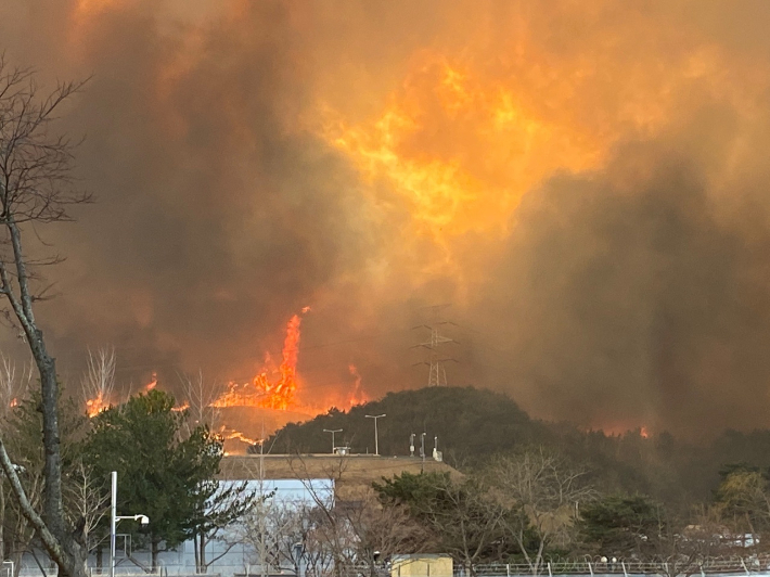 울진 대형산불이 인근 삼척까지 번져 5일 강풍속에 확산하고 있다. 독자 제공