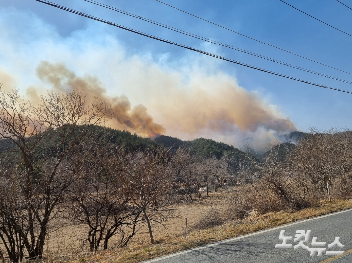 5일 거대한 연기를 내뿜으며 확산하고 있는 강릉 옥계 산불. 전영래 기자