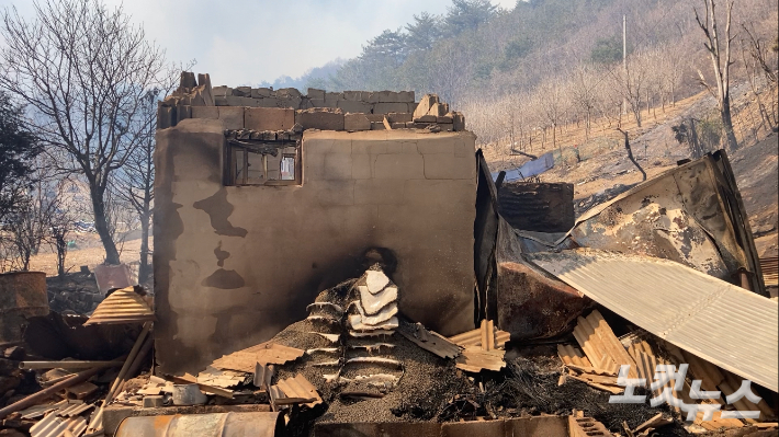 강릉 옥계지역 산불피해 가옥. 최진성 아나운서