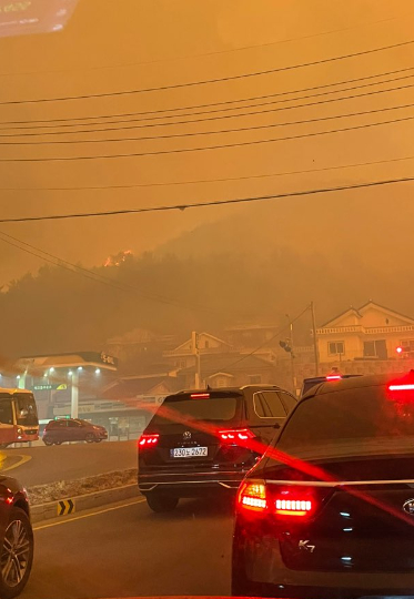 동해시 어달쪽 산불 상황. 독자 제보