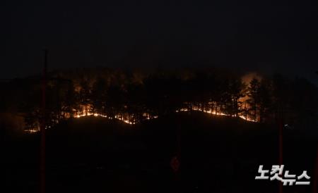 울진 산불 이틀째