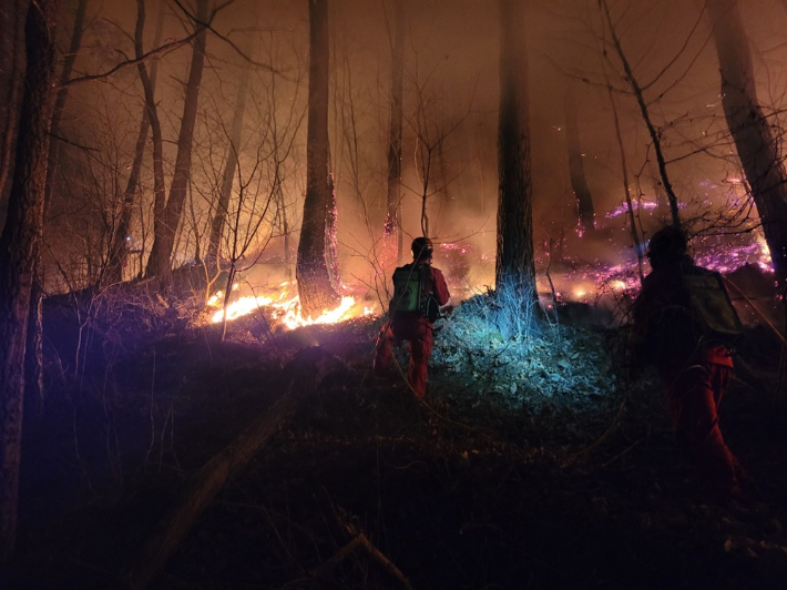 특수진화대가 야간산불을 진화하고 있다. 산림청 제공
