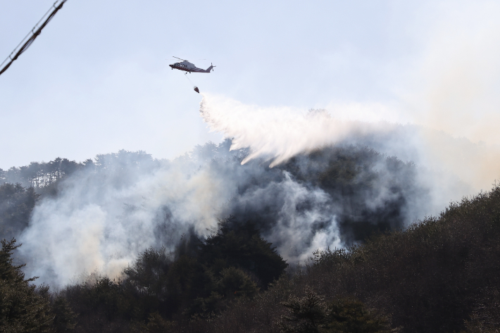 산불 진화에 투입된 헬기가 공중에서 물을 뿌리고 있다. 강릉시 제공