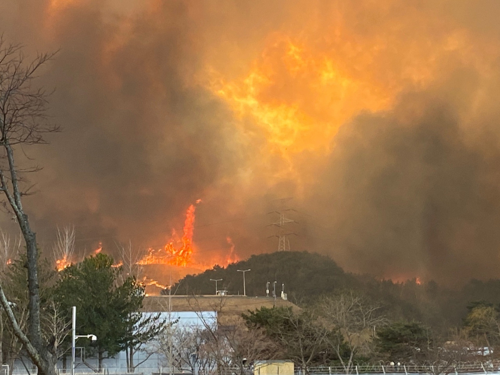 울진 산불 모습. 소나무를 비롯한 침엽수림에서 볼 수 있는 불이 폭발하듯 타오르는 현상이 나타나고 있다. 독자제공
