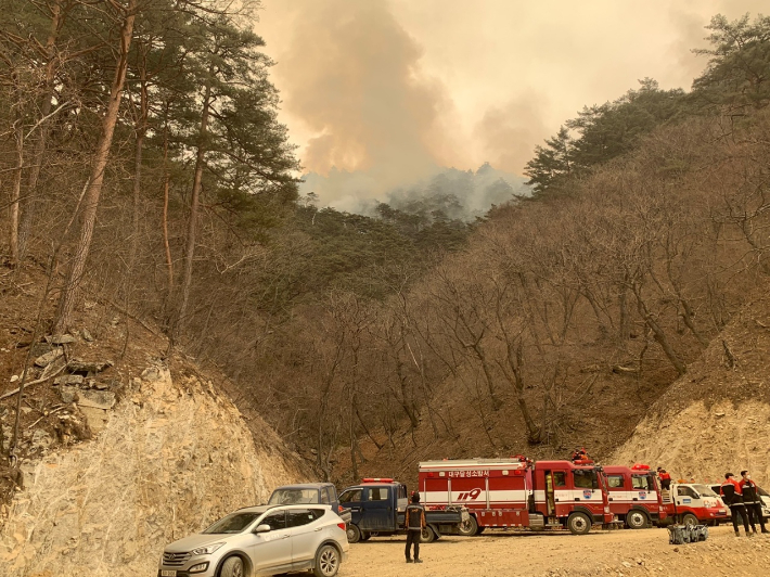 울진 금강송 군락지가 있는 소광리에 산불이 발생했다. 경북소방본부 제공