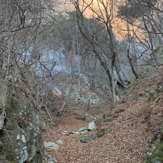 울진 금강송 군락지가 있는 소광리에 산불이 발생했다. 경북소방본부 제공