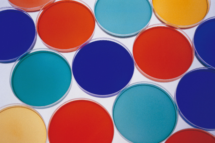 스마트이미지 제공