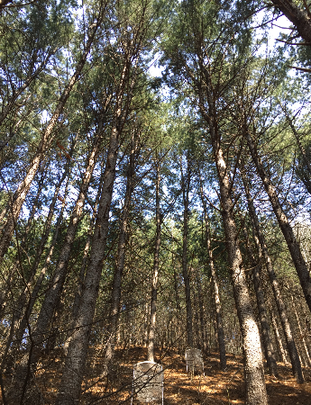 산림토양 조사지. 국립산림과학원 제공