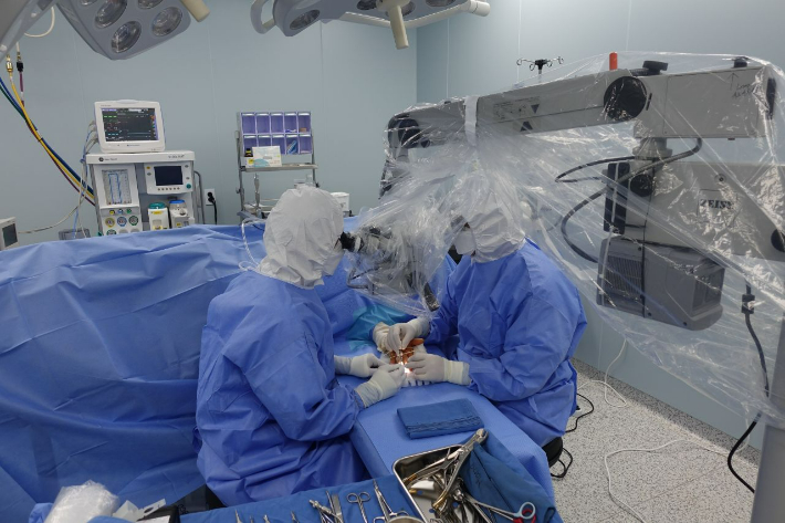 음압캐리어 안에서 환자의 손만 꺼내 수술을 진행하는 모습. 충남도 제공