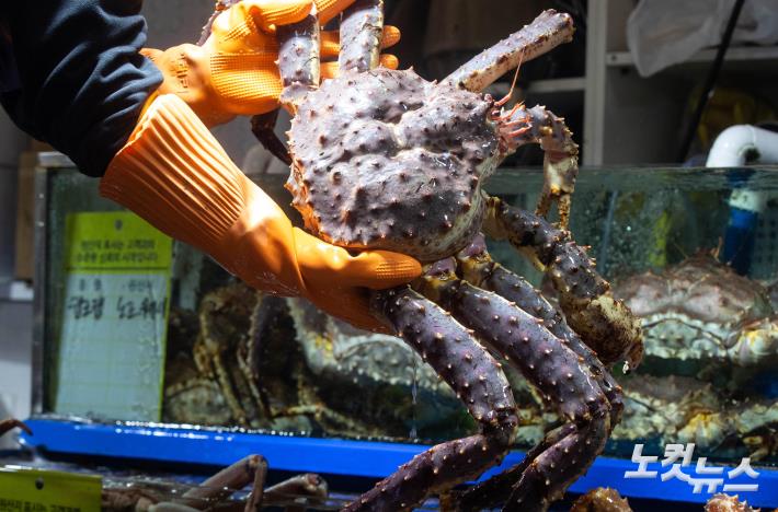 노르웨이산 킹크랩 가격 