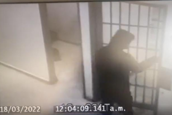 일간 엘티엠포 트위터 캡처