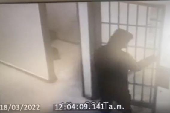 일간 엘티엠포 트위터 캡처