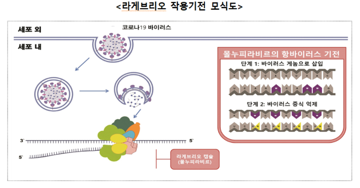 식품의약품안전처 제공 