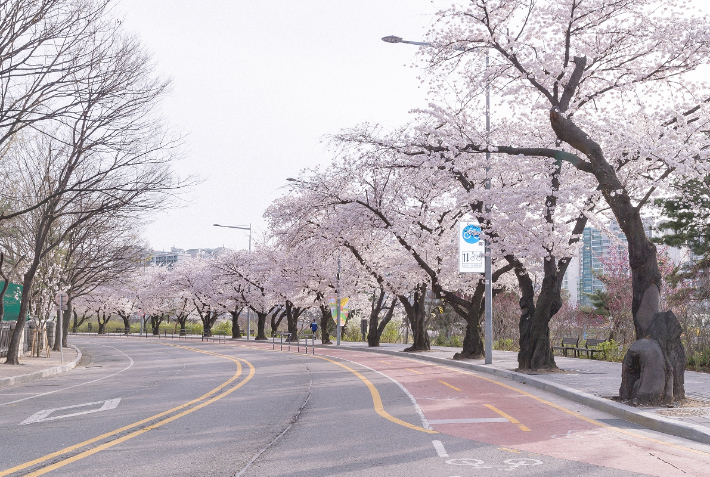 영등포구 제공