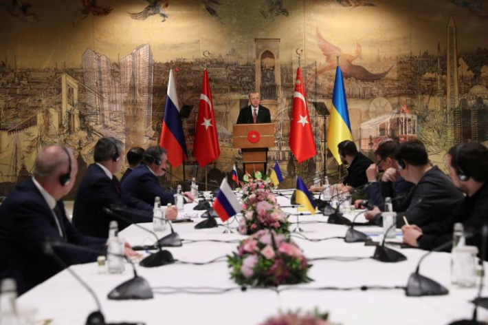 29일(현지시간) 레제프 타이이안 에르도안 터키 대통령이 터키 이스탄불 돌마바흐체 궁전에서 열린 우크라이나-러시아의 5차 평화협상에 앞서 연설하고 있다. 연합뉴스