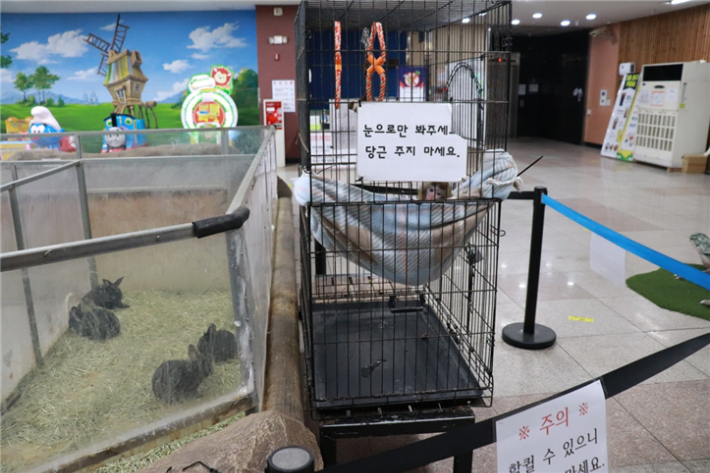 대전 아쿠아리움에 전시된 아기 원숭이. 대전충남녹색연합 제공