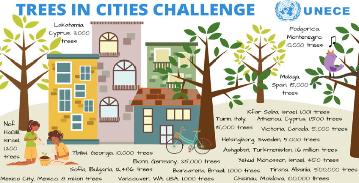 Trees In Cities 소개 페이지. UNECE 홈페이지 캡처