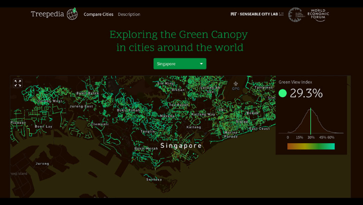 아시아에 위치한 도시 중 나무가 가장 많은 싱가폴. MIT Senseable City Lab 트리피디아 홈페이지 캡처