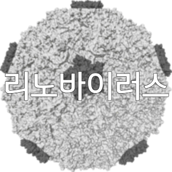 광주시보건환경연구원 제공