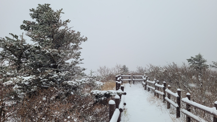 29일 오전 눈이 내린 설악산 중청대피소 인근 풍경. 설악산국립공원사무소 제공