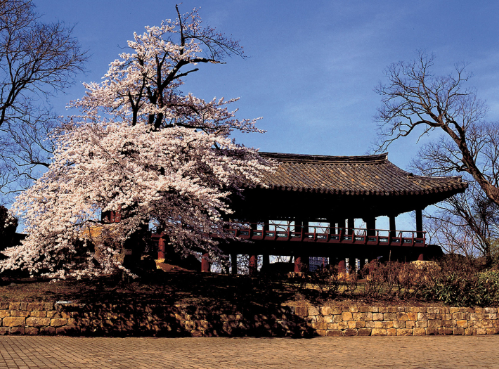 삼척 죽서루. 삼척시청 제공