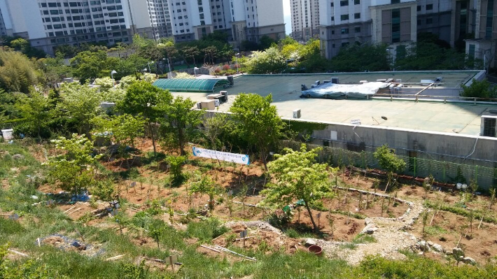 부산 남구는 지역 내 무단경작지 4천㎡를 확인해 대대적인 정비 작업을 벌였다. 부산 남구 제공