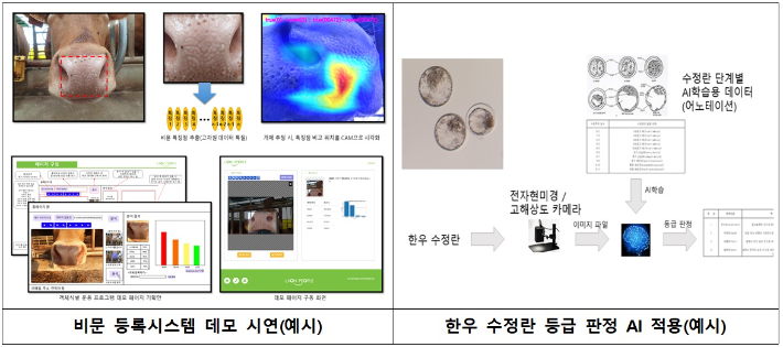 한우 인공지능 모델개발 구상. 경북도 제공