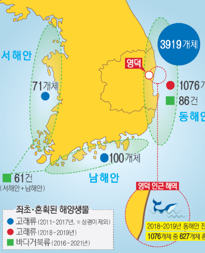 해양생물종복원센터 동해안권 최적지 영덕. 경북도 제공