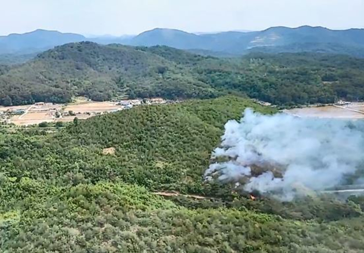 포항 송라면 야산에서 발생한 산불. 산림청 제공