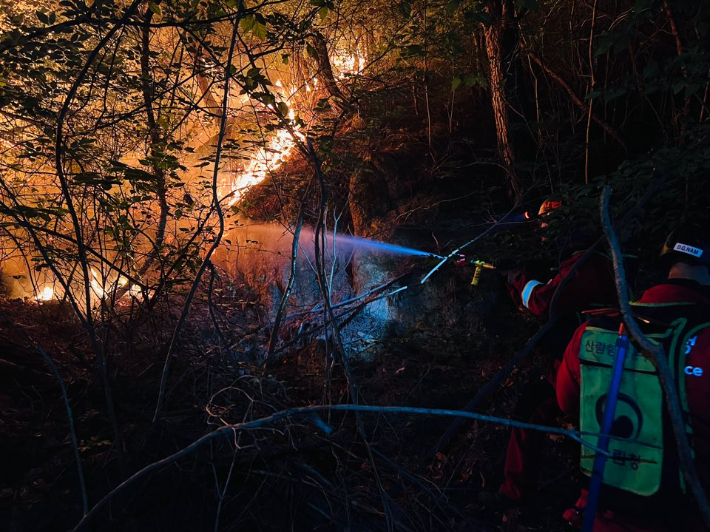 산림청 공중진화대원들이 지난 밤 사이 산불을 진화하는 모습. 산림청 제공
