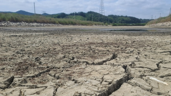 계속되는 가뭄으로 물이 말라 바닥이 쩍쩍 갈라진 충남 태안군 이원면 이원 간척지 수로. 연합뉴스