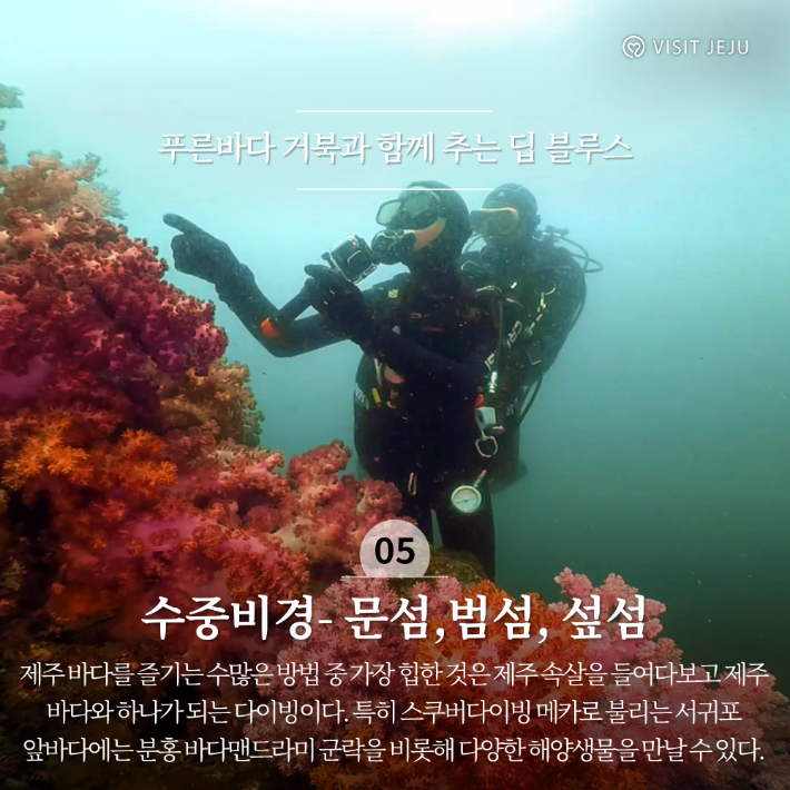 제주관광공사 제공