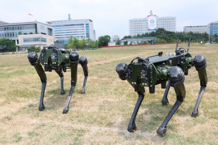 대통령 집무실 인근의 용산공원 부지가 일반 국민에게 시범 개방된 10일 서울 용산공원에서 경비로봇이 분주하게 움직이고 있다. 연합뉴스
