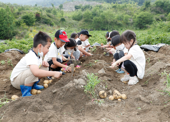 괴산군 제공