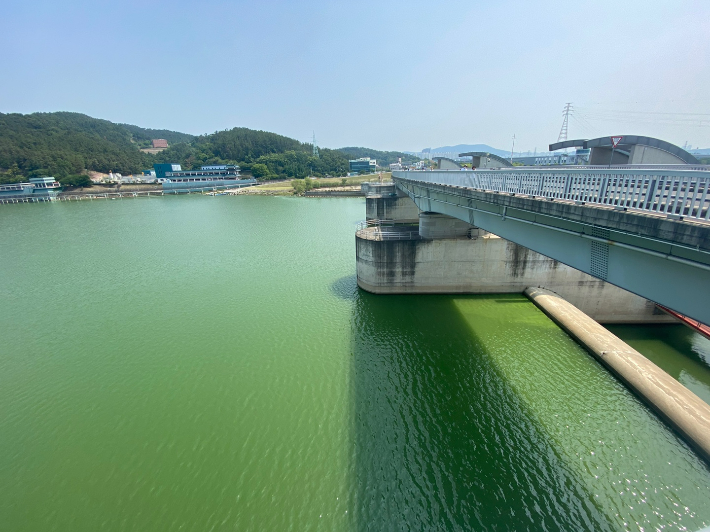 대구환경운동연합 제공