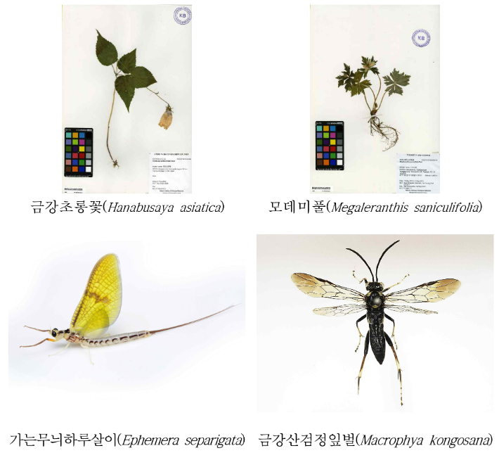 분산 대상 생물표본. 국립생물자원관 제공