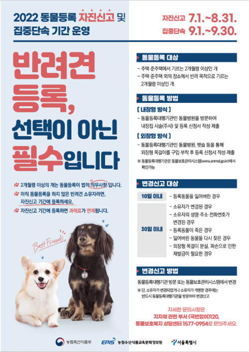 서울시, 반려견 '동물등록 자진신고' 기간 운영…과태료 최고 60만원
