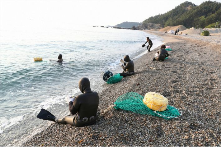 해녀들이 바다에 들어가기 위해 준비하고 있다. 자료사진