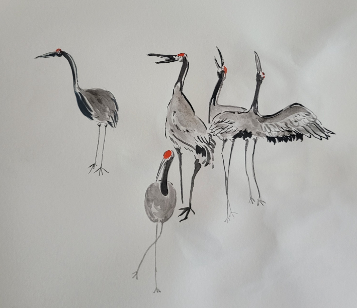 최순금 작가가 그린 흑두루미. 최순금 작가 제공 