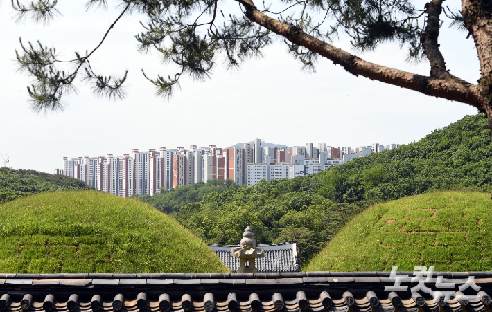 지난 5월 김포 장릉에서 바라본 '왕릉뷰 아파트' 모습. 황진환 기자